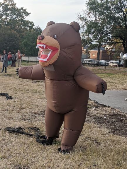 BASIS Independent Brooklyns mascot is the bear, which inspired this science feature.