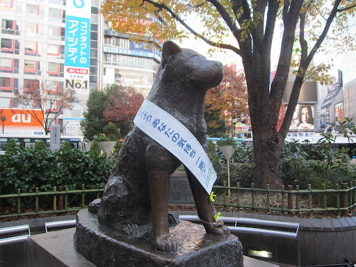How Hachiko the Faithful Dog Helped Me Find My Purpose