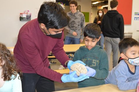Photo Gallery: Brain Fair 2022