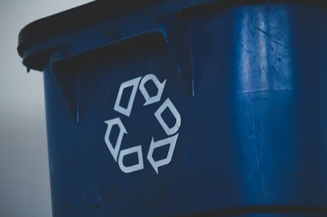 Recycling at BASIS Independent Brooklyn is Finally a Reality