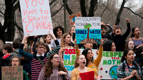 NYC high school students walk out of class to protest against climate change.