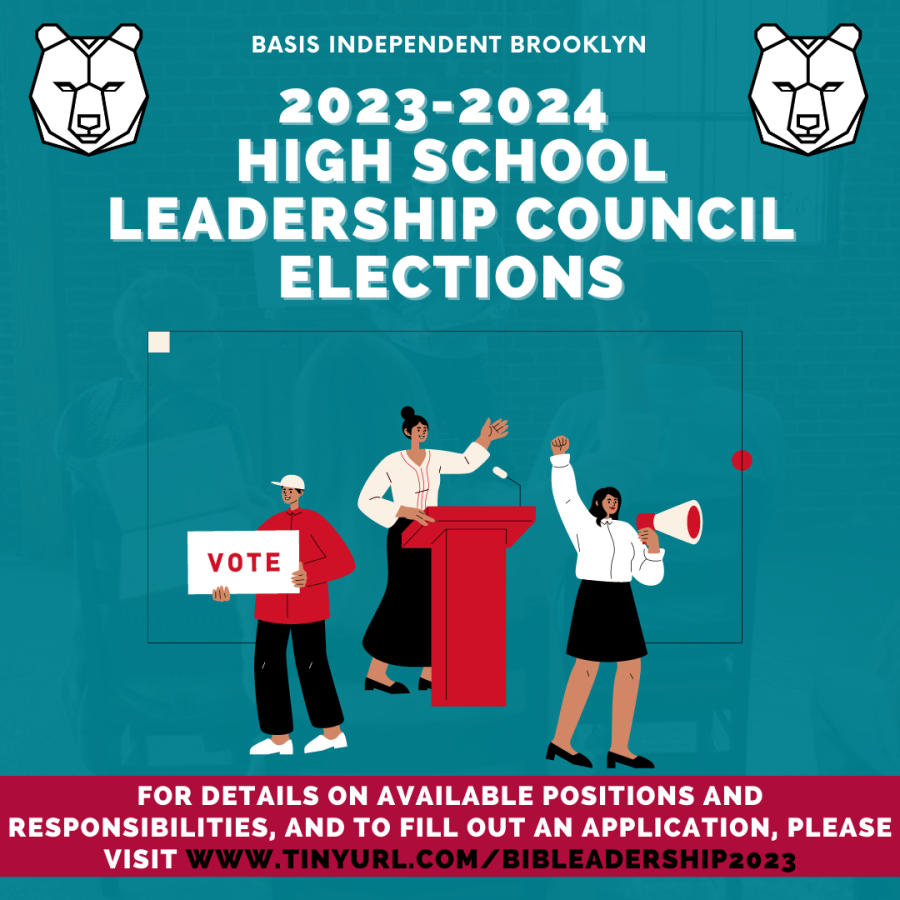 A Mildly Sarcastic Retrospective on the Student Leadership Council Elections