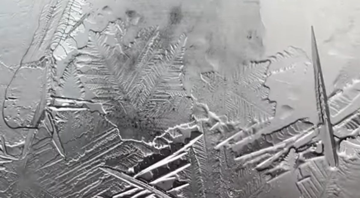 Water frozen in petri dishes.