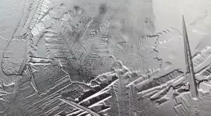 Water frozen in petri dishes.