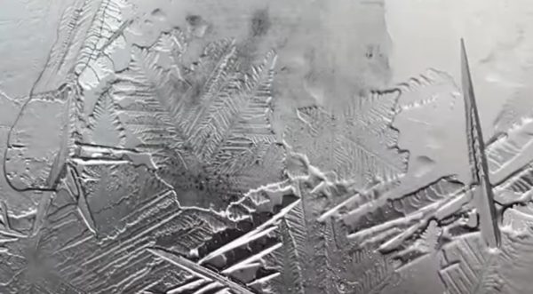 Water frozen in petri dishes.